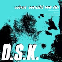 What Would We Do - DSK