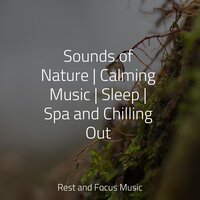 Acknowledging True Emotions - Relaxamento & Mindfulness Mediation World & Native American Flute