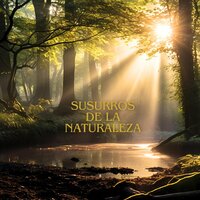 Silencio del atardecer - Música para relajarte para tener la casa feliz