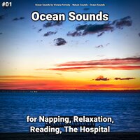 Ocean Sounds Part 4 - Ocean Sounds by Viviana Fernsby & Nature Sounds & Ocean Sounds