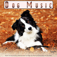 Pure Dog Music - Dog Music & Sleeping Music For Dogs & Dog Music Collective