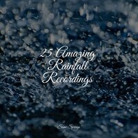 Forest Ambience, Strong Wind, Rain - Zona Música Relaxante & The Sleep Specialist & Meditacao Clube