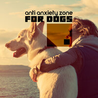 Meditation of Dogs - Calm Pets Music Academy