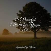 Peaceful - Sleepy Times & Calming Sounds & Sound Sleeping
