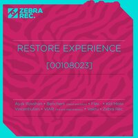 Mr. Flanders - Zebra Rec. & Kid Moss