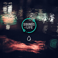 Rain Heavy on Terrace, Pt. 3 - Sounds Of Life