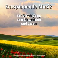 Freude für Dich - Entspannungsmusik mit sanften Klängen & Schlafmusik & Entspannungsmusik