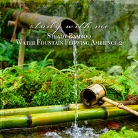 Steady Bamboo Water Fountain Flowing Ambience, Pt. 18 - Sebastian Riegl