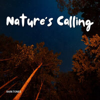 Rain Noise - Nature Field Recordings & Rain Hard & Rain Hive