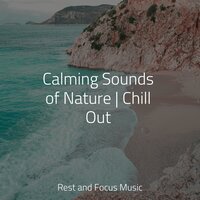 Elven Song - Bedtime Baby & Música para Relaxar Maestro & The White Noise Zen & Meditation Sound Lab