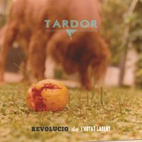 Lys/Mad - Tardor