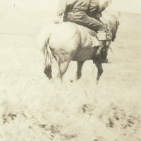 Harry and Hannah - Bruce Langhorne