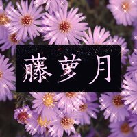 藤萝月 - 徒有琴 & 河图