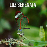 Espíritu de Paz - Espiritual Renovación