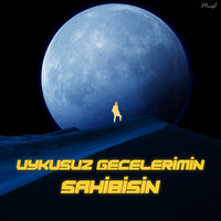 Uykusuz Gecelerimin Sahibisin - Olvi