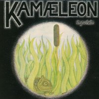 Svajende Siv - Kamæleon