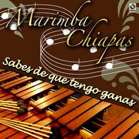 Sueño Imposible - Marimba Chiapas