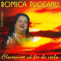 Doi Tovarăși Am La Drum - Romica Puceanu