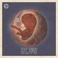 Whole World - Silky Sunday & Snoux