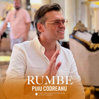Două Vieți Dacă Aș Avea - Puiu Codreanu