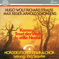 6 geistliche Lieder von Eichendorf: I. Aufblick - Norddeutscher Figuralchor & Jörg Straube & Хуго Вольф