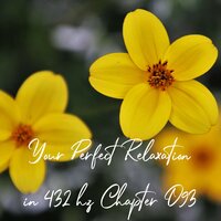 Your Perfect Relaxation in 432 Hz Chapter 093, Pt. 12 - Essential Sleep Music