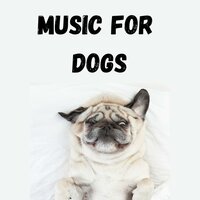 Dog Music Dreams - Music for Dogs & Music for Dogs Peace & Relaxing Puppy Music & Calm Pets Music Academy