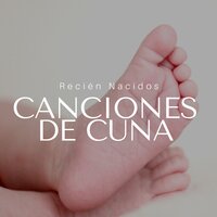 Entrenamiento Natural - Clara Adorada