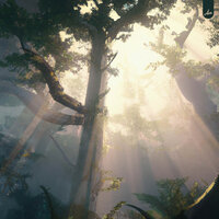 Forgotten Forest - Tabi & sfeerbeer