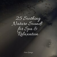 Waves of Rain - Relaxation Music Guru & Pure Serenity Spa Music & Massage Collective Garden & Zen Relaxation Meditation & Study Music
