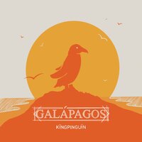 Galápagos - kïngpinguïn & Avery Bright & Matthew S. Nelson