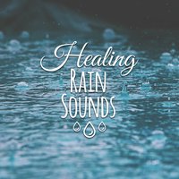 Mind, Body and Soul - Rain