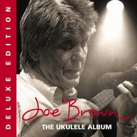 I'll See You in My Dreams - Joe Brown