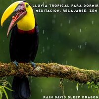 Sonidos de Lluvia de Korea - Rain David Sleep Dragon