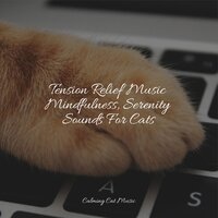 Soothing Soul - Cat Music Dreams & Music For Cats & Music for Cats Deluxe