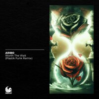 Worth the Wait - Aribo & Plastik Funk