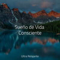 Spa de Concienzación - Sonido Del Bosque y Naturaleza & Meditação Yoga & Relajación Meditar Academie