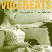 Asking Why - Volebeats