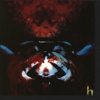 The Testament - Hypernature