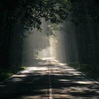 By the Fireside - Calming Music for Dogs & Music for Dogs Collective & Music for Dogs Peace