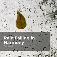 Catchy Rhythmic Rain - Rain Sounds & Rain Storm Sample Library & Natural Rain Sounds for Sleeping