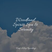 Meditation Eternal - Buddhist Meditation Music Set & Nature Sounds Nature Music & Reiki Tribe