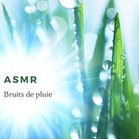 Mantra pour l'âme - Bouddha Musique Sanctuaire