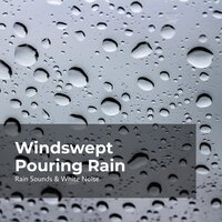 Wind in Teeming Rain - Rain Sounds & White Noise & Raindrops Sleep & Sleep Rain