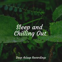Walk Through Woods - Brain Study Music Guys & Academia de Meditação Buddha & Relaxation Music Guru