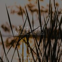 Laser Focused - Spa Zen & Sounds of Nature White Noise Sound Effects & Meditation Awareness