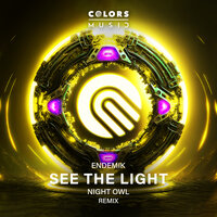 See the Light - Endemik & Night Owl