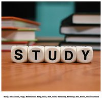 Study Work - Exams Study