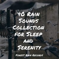 Strong Rain Vietnam - Relaxing Nature Music & White Noise for Babies & Wave Sound Group