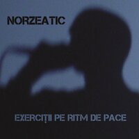 Se lasă seara - Norzeatic